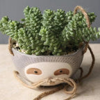 Charming Sloth-Inspired Hanging Planter for Succulents
