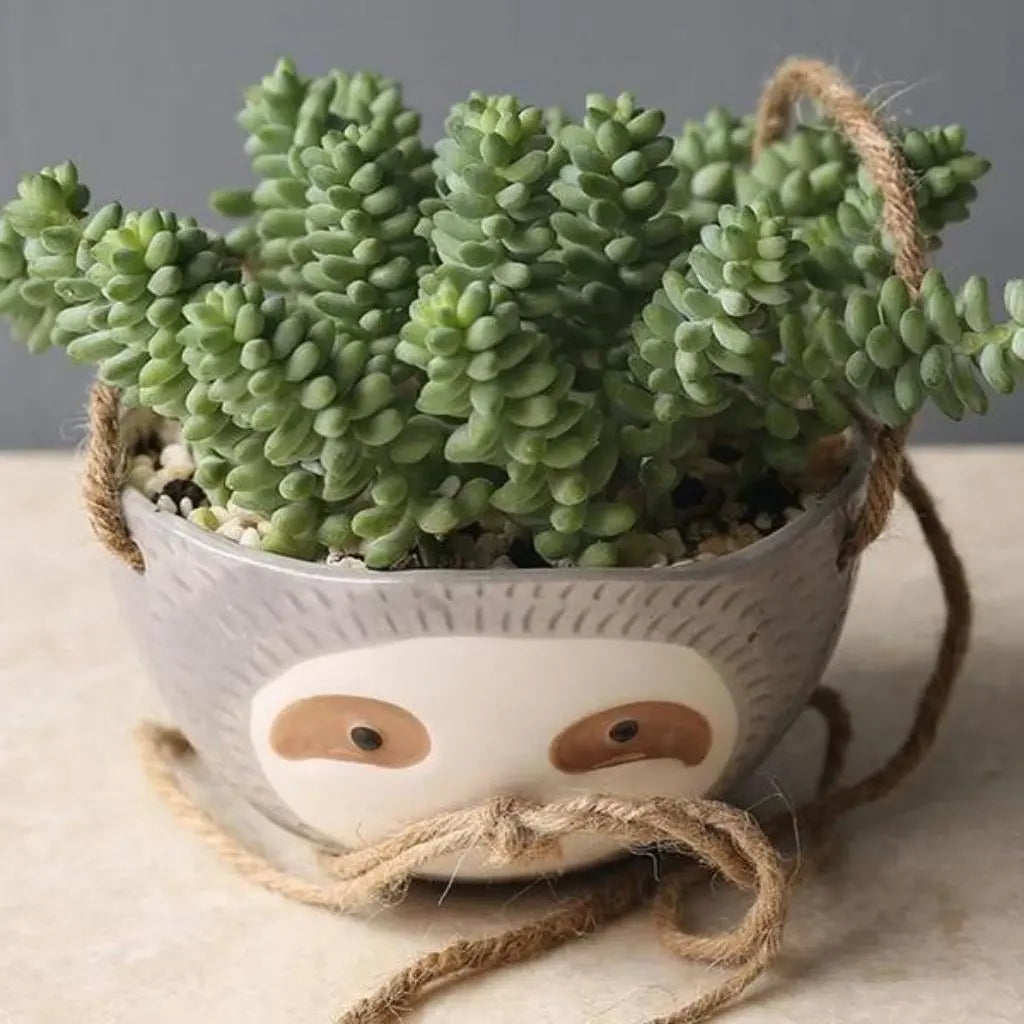 Charming Sloth-Inspired Hanging Planter for Succulents
