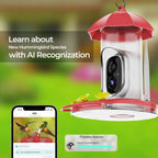 Smart Bird Feeder with Camera – Outdoor Observation Station