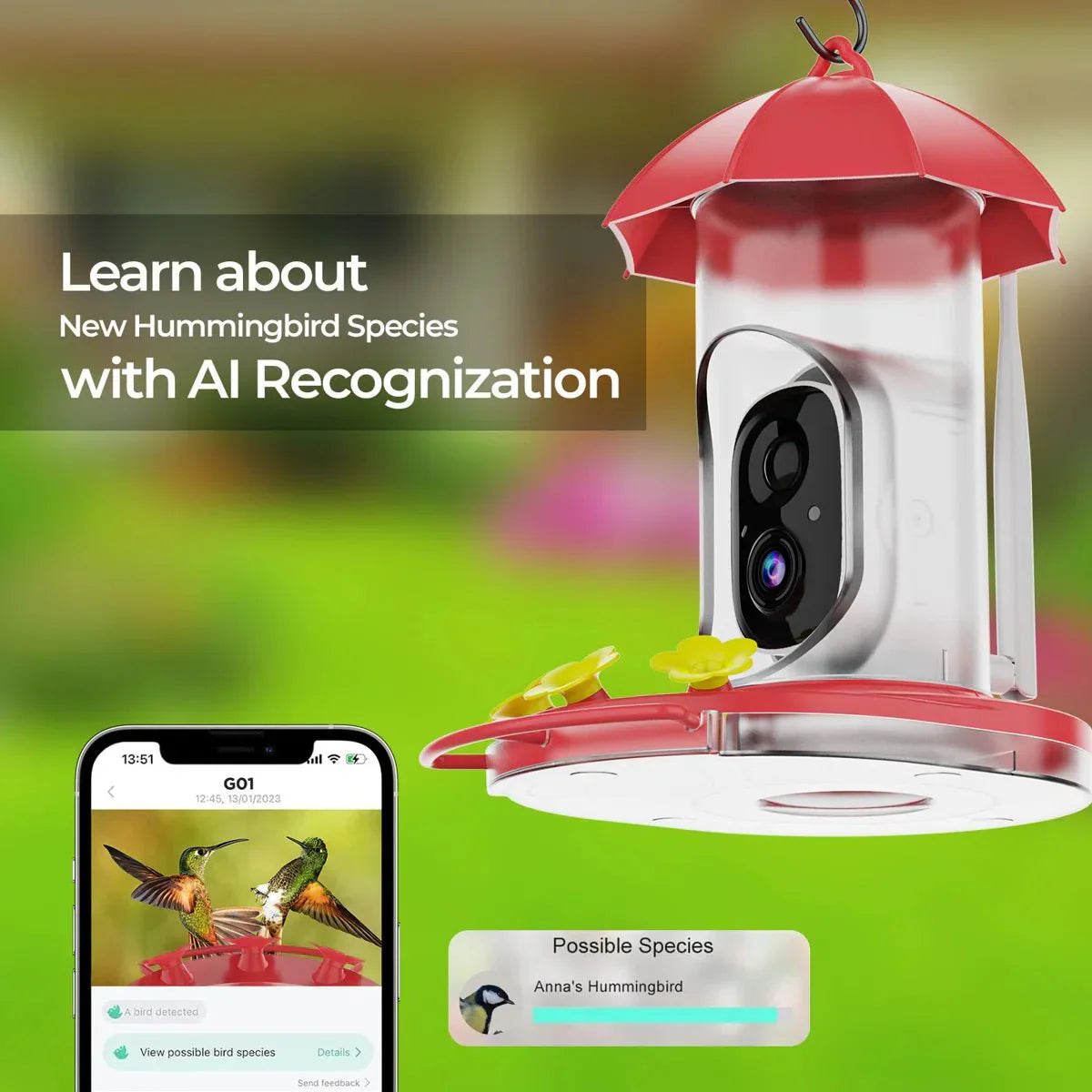Smart Bird Feeder with Camera – Outdoor Observation Station