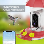 Smart Bird Feeder with Camera – Outdoor Observation Station