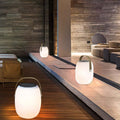 Waterproof Solar Garden Light with Remote Control - Stylish Design