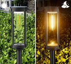 Clear Glass Solar Lantern on Black Garden Stake