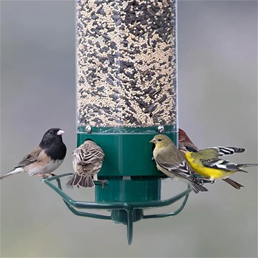 Squirrel-Resistant Metal Bird Feeder for Outdoor Hanging Use