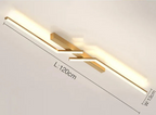 Contemporary Stylish Ceiling Fixture with Built-in LED Lighting