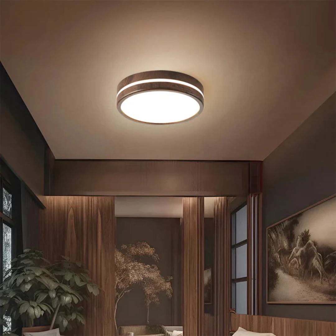 Modern Ceiling Light with Wood Accent – LED Fixture for Home Decor