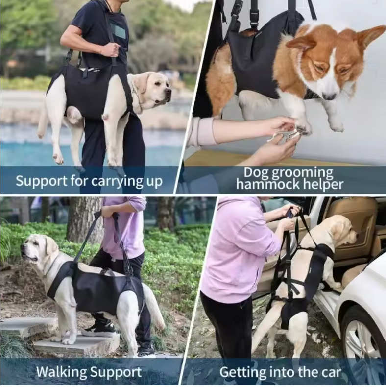 Comfortable Canine Support Sling