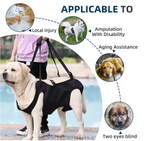 Comfortable Canine Support Sling