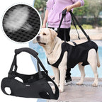 Comfortable Canine Support Sling