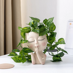 Charming Nature Planters for Your Indoor Oasis