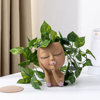 Charming Nature Planters for Your Indoor Oasis
