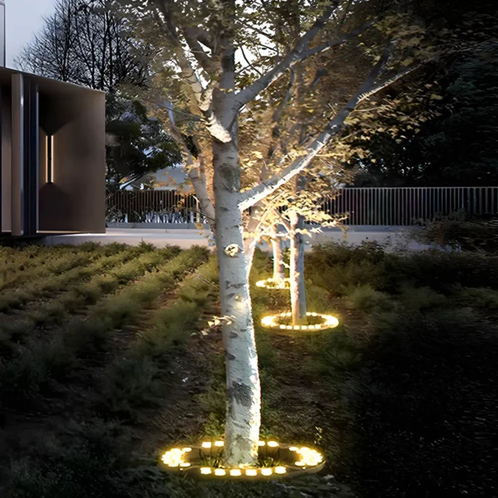 Spotlight for Outdoor Trees