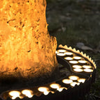Spotlight for Outdoor Trees