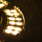 Spotlight for Outdoor Trees