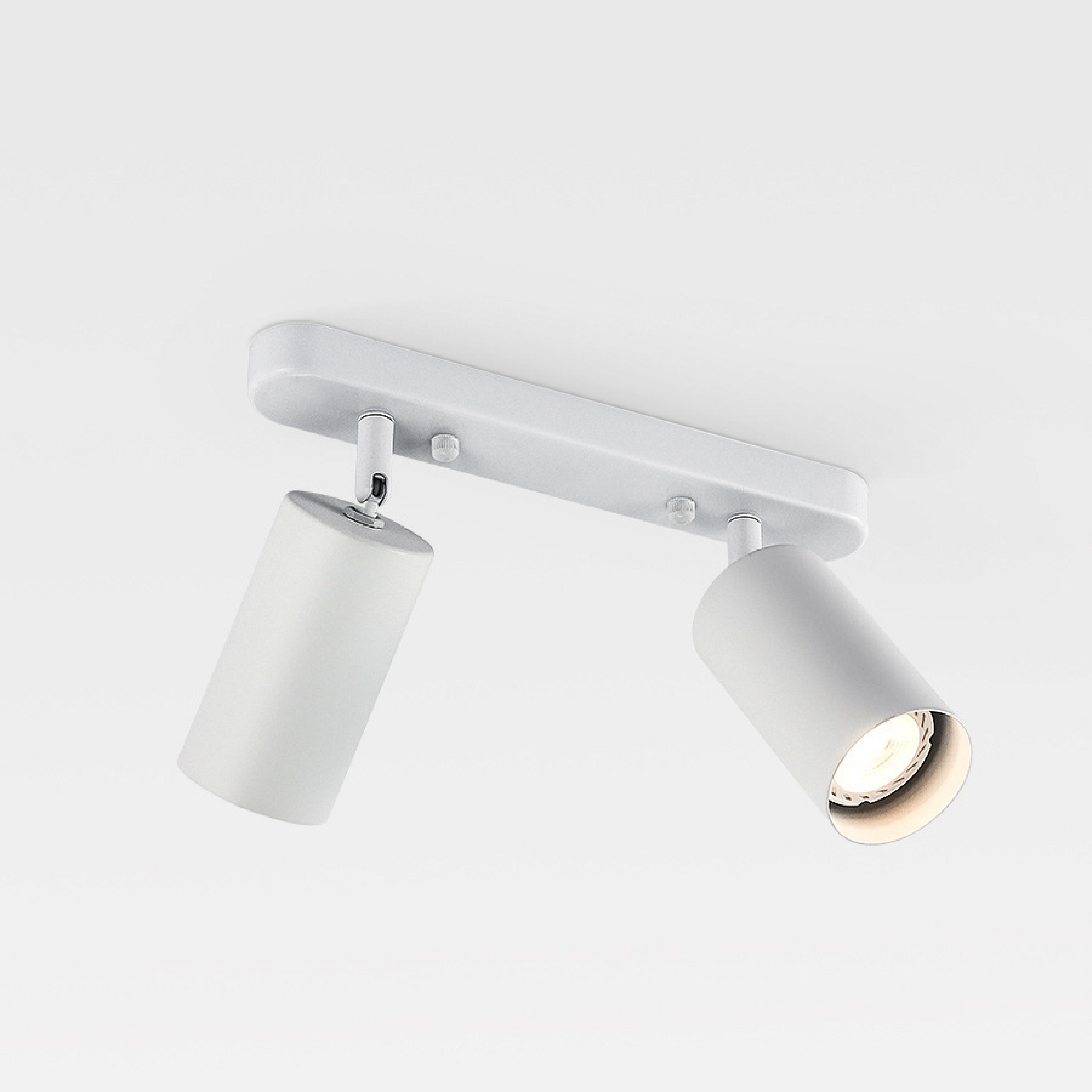 Ceiling Spotlight with Adjustable Dual Heads