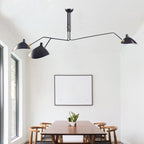 Elegant Noir Chandelier Light Fixture