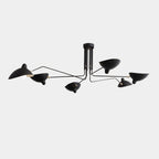 Elegant Noir Chandelier Light Fixture