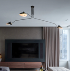 Elegant Noir Chandelier Light Fixture