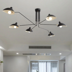 Elegant Noir Chandelier Light Fixture