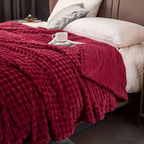 Cozy Plush Fleece Blanket – Double-Sided Plaid for Warmth