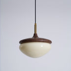 Elegant Metal Design Pendant Lamp - Vintage Glass with Built-in LED for Kitchen and Home Lighting