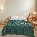 Plaid Fleece Blanket – Soft, Allergy-Friendly, Cozy for Year-Round Use