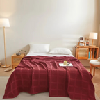 Plaid Fleece Blanket – Soft, Allergy-Friendly, Cozy for Year-Round Use