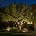 Landscape Lighting with Waterproof LED Garden Spotlights, IP65, 36W/72W/100W
