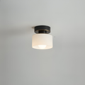 Modern Ceiling Spot Light in Bauhaus Style