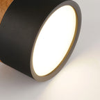 Sleek Modern LED Ceiling Fixture with Wood Accent