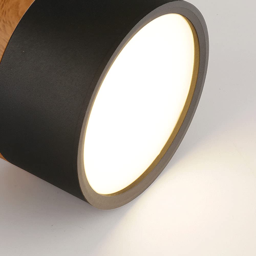 Sleek Modern LED Ceiling Fixture with Wood Accent