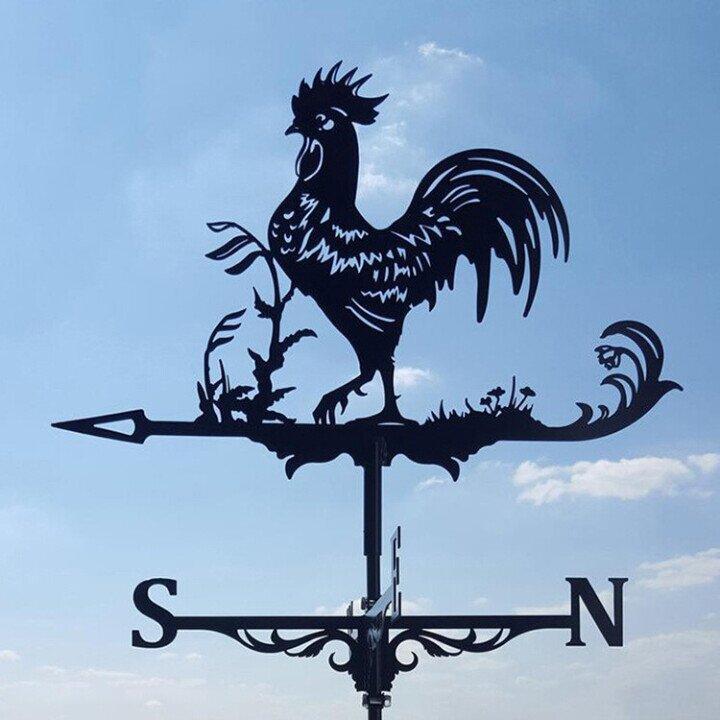 Vintage Garden Weather Vane for Wind Direction and Decorative Charm