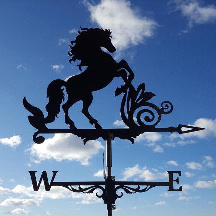 Vintage Garden Weather Vane for Wind Direction and Decorative Charm