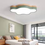 Natural Elegance LED Ceiling Fixture