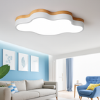Natural Elegance LED Ceiling Fixture