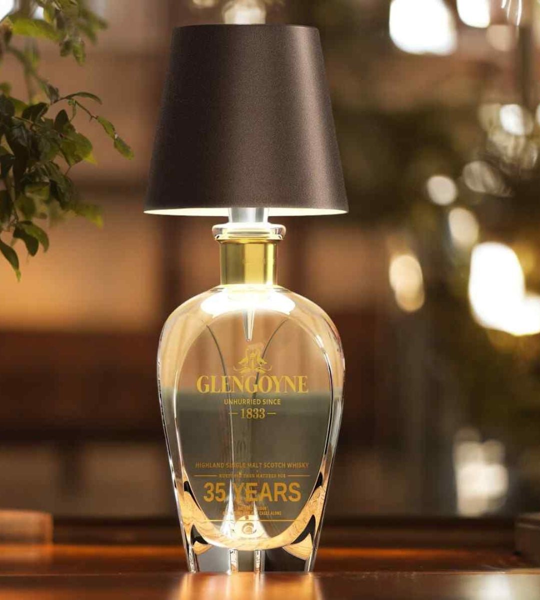 Wireless LED Bottle Lamp with Adjustable Brightness