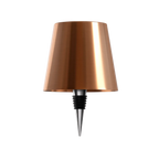 Wireless LED Bottle Lamp with Adjustable Brightness