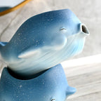 Oceanic Charm Soap Dish