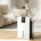 Indoor Dehumidifier for Basements – Energy Efficient Moisture Control