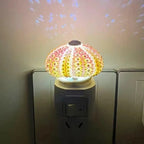 Night Light Kit Natural Sea Urchin Shell Gilded Base