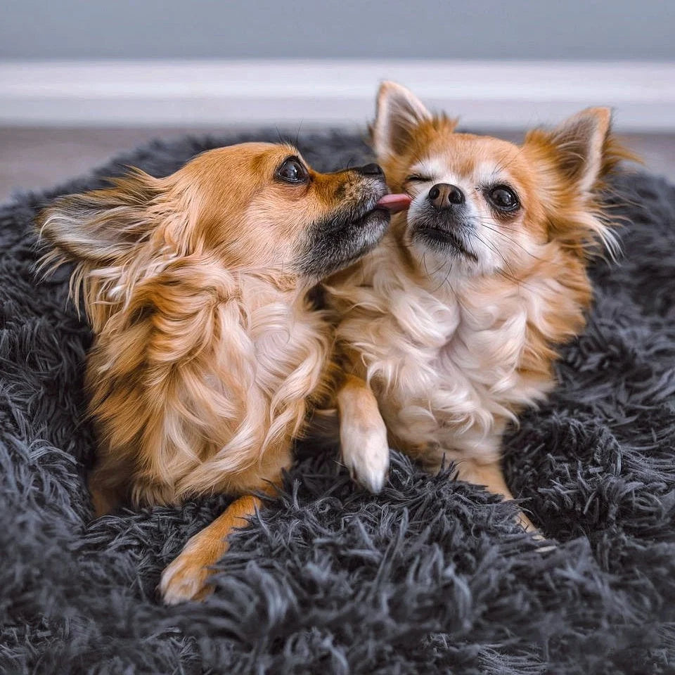 Dog Bed Donut Ultra-Soft Faux Fur Removable Washable Cover