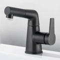 Swivel Spout Kitchen Faucet with Pull-Out Function