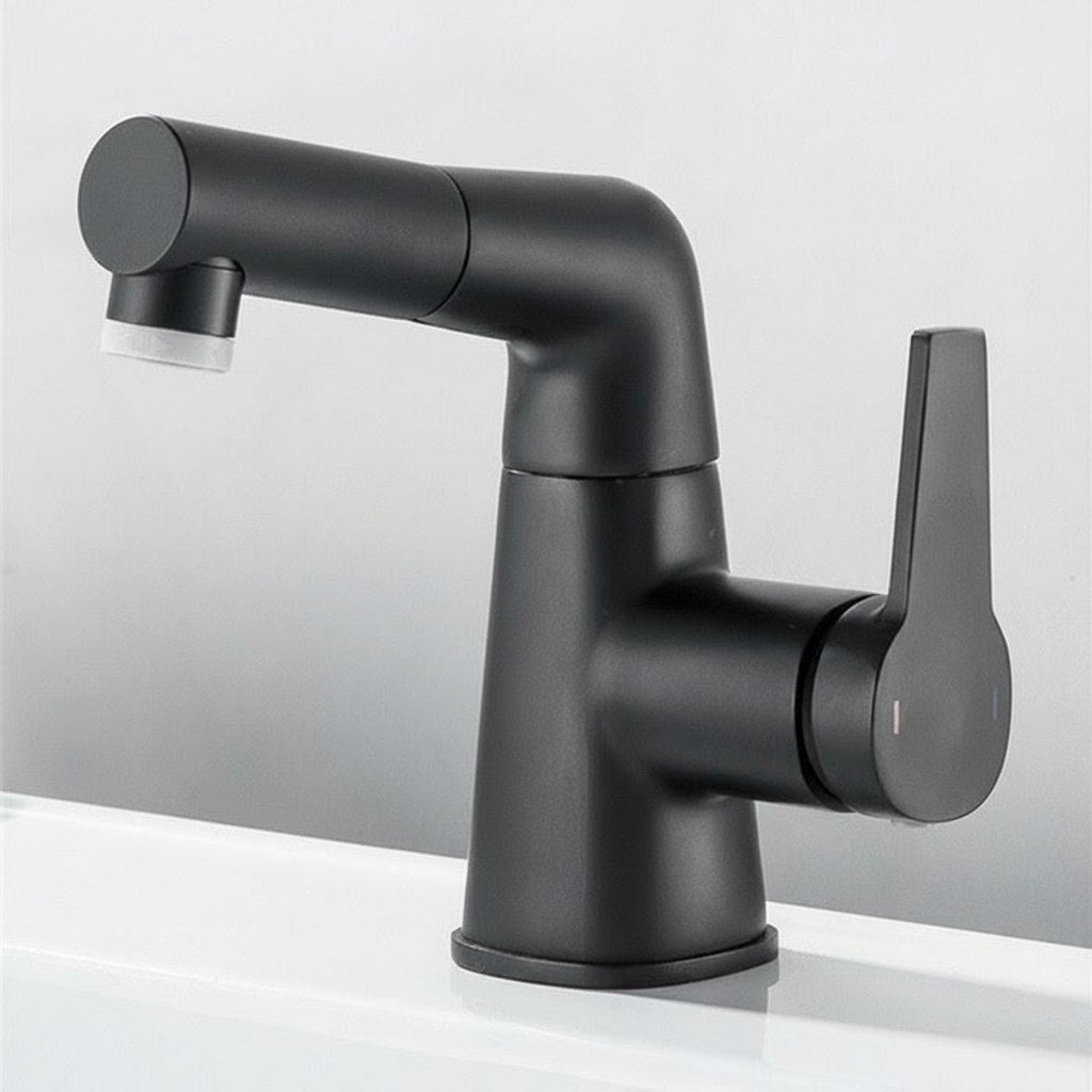 Swivel Spout Kitchen Faucet with Pull-Out Function