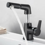 Swivel Spout Kitchen Faucet with Pull-Out Function