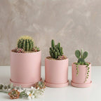 Contemporary Round Planter for Indoor Plants
