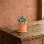 Contemporary Round Planter for Indoor Plants