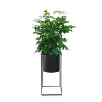Contemporary Black Rectangular Plant Holder for Indoor Use