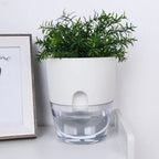 Self-Watering Plant Pot 20-Day Reservoir Transparent Base