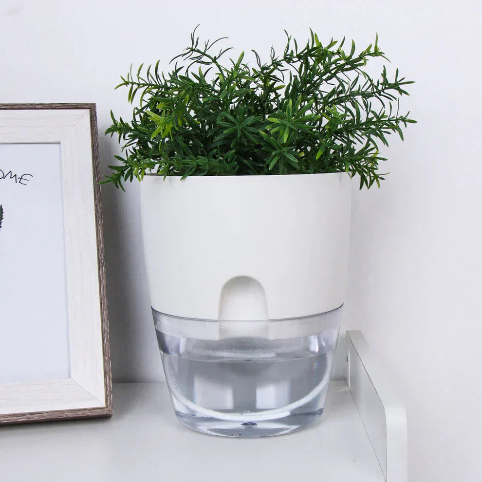Self-Watering Plant Pot 20-Day Reservoir Transparent Base