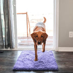 Dog Mat Ultra-Absorbent Chenille Non-Slip & Machine Washable